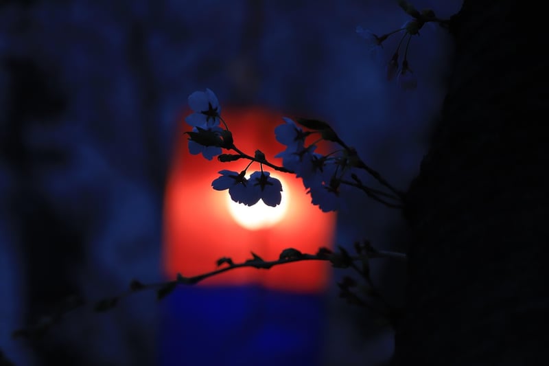Enchanter's Eden