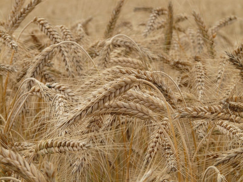 Agricultural Technology